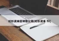 红杉资本区块链公司[红杉资本 fil]